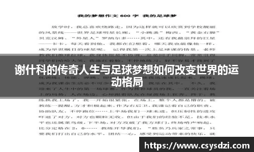 谢什科的传奇人生与足球梦想如何改变世界的运动格局